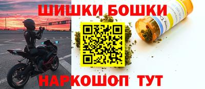 прущие грибы Краснознаменск