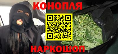 прущие грибы Краснознаменск