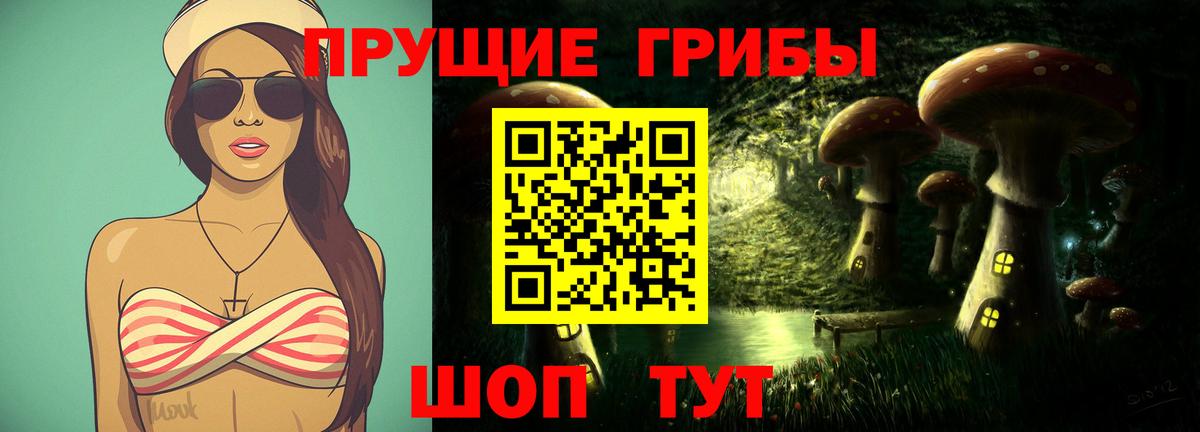 Салехард  Псилоцибиновые грибы Psilocybine cubensis  Вход с VPN  Псилоцибиновые грибы Cubensis 